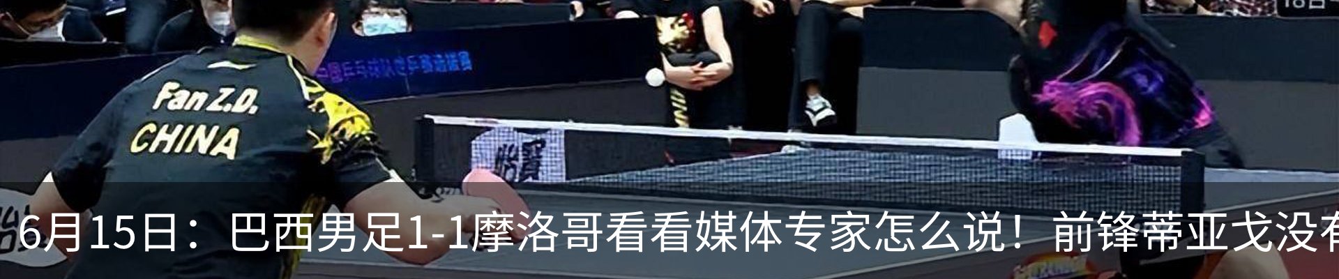 资讯动态